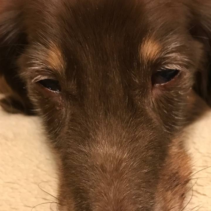 95e0478b 5e0a 4ad7 b432 c1c468ecd078