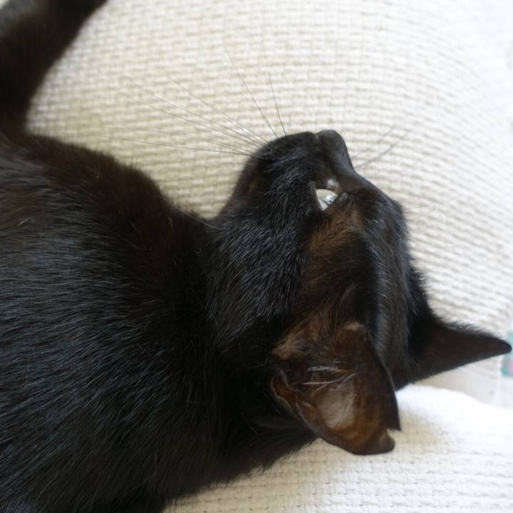 95e04cc7 0034 4b30 b697 1754b4161d1f