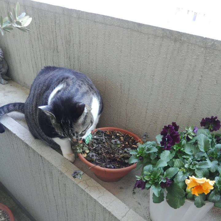 95e0fa8d 0c6c 4f65 9aa1 5820ed66ebfe