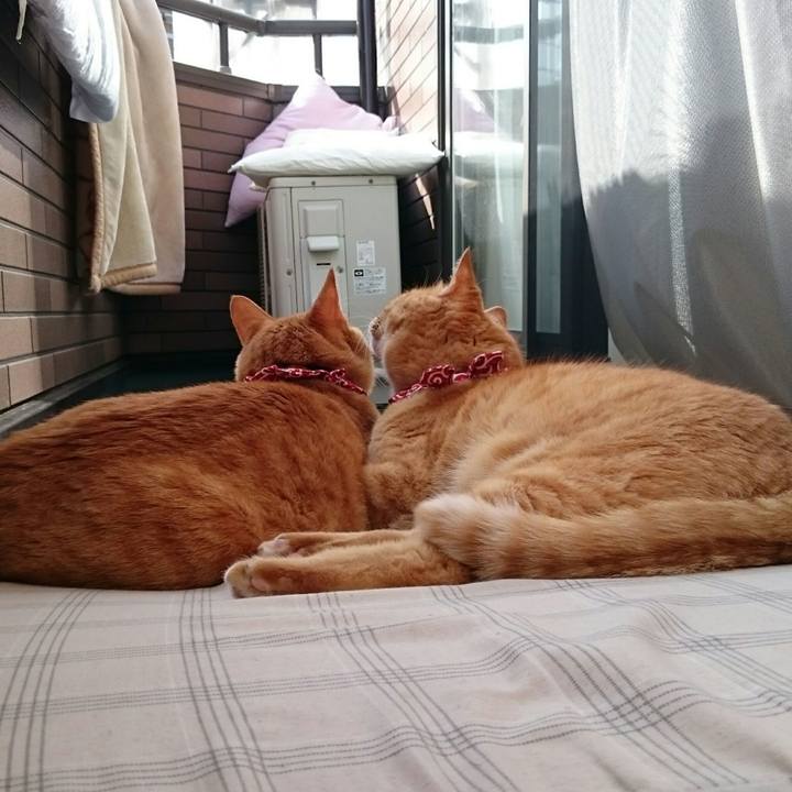 95e16f5e 36c2 4cf8 9ec6 af2dd8786d01