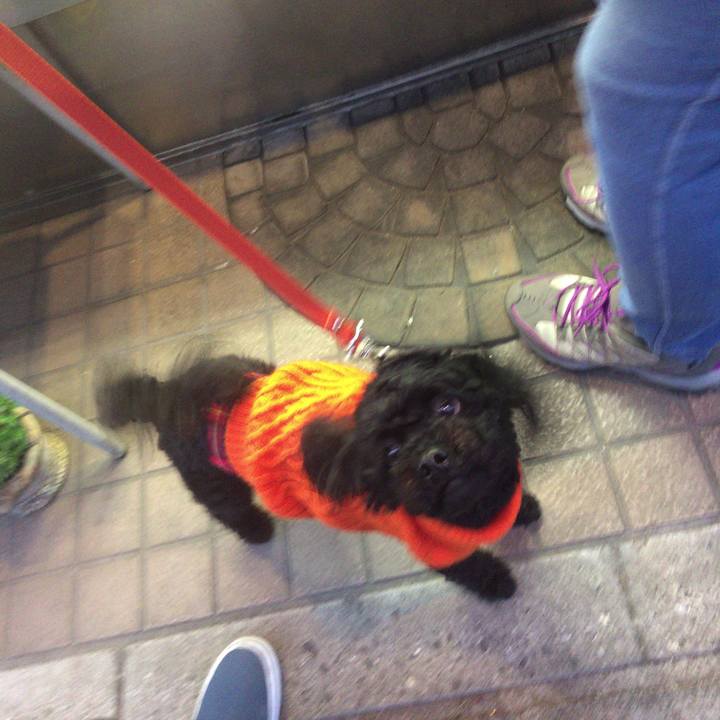 95e1f3bf 0fbd 4a7e 87d3 2658f5b51023