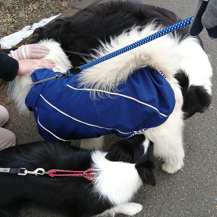 95e28e5f 6f18 425c 8007 abd522118c91