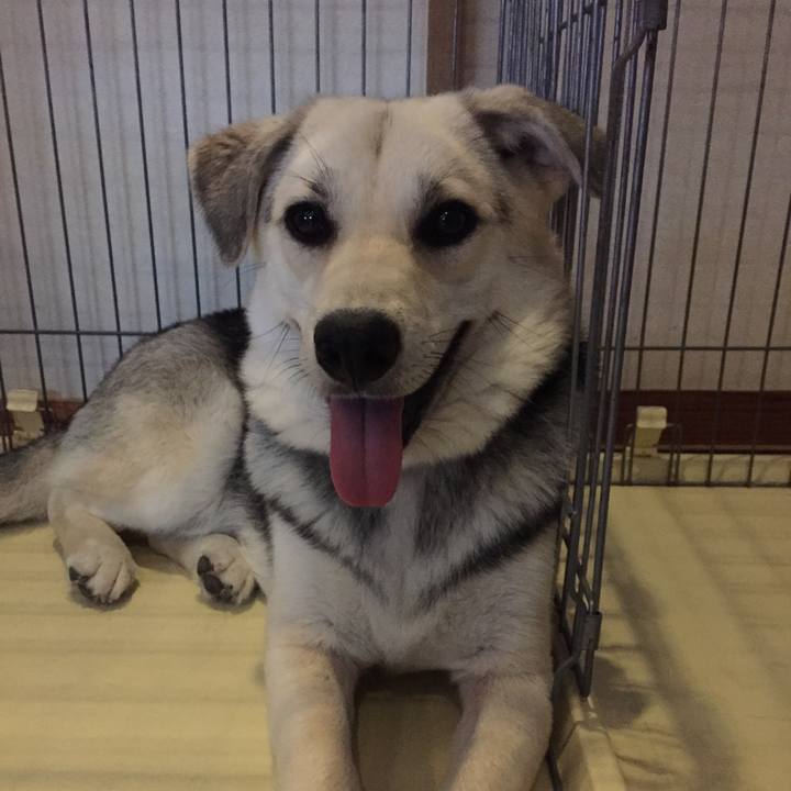 95e2baf2 9356 4906 a0cf bc0437582bca