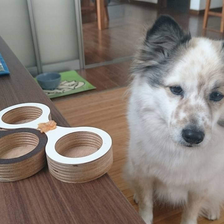 95e33509 fd11 4d06 aa6d a96c6d927b46