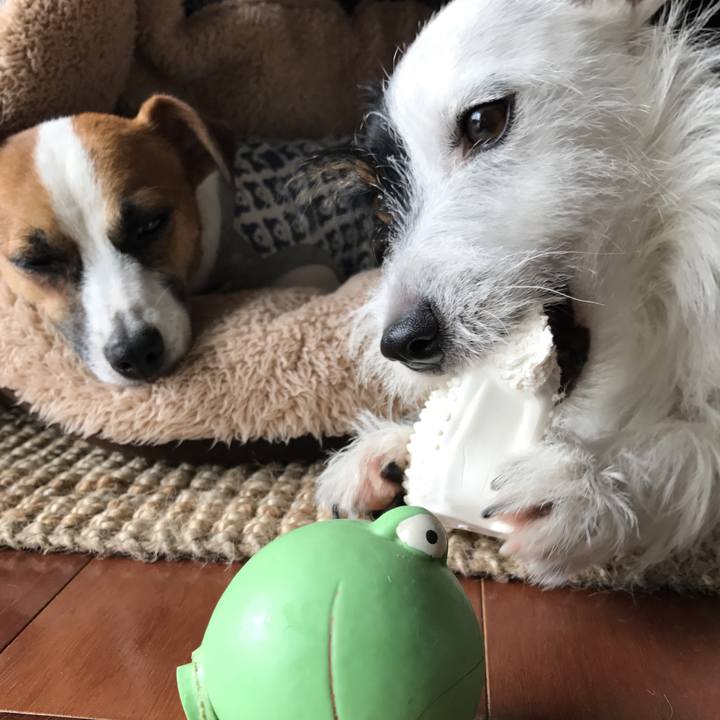 95e439ac 1c9e 4e67 a865 50536bd859a5