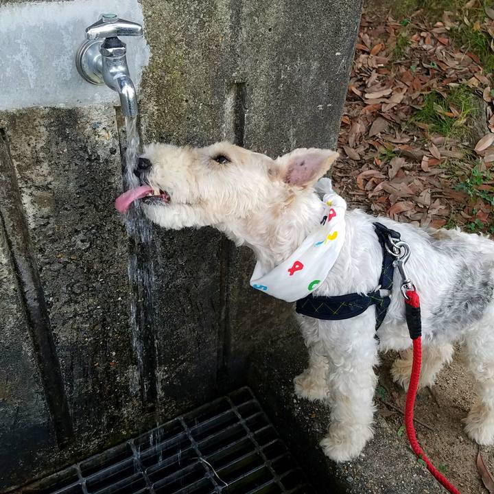 95e492da 09c8 4225 aa54 7a8401ddf184