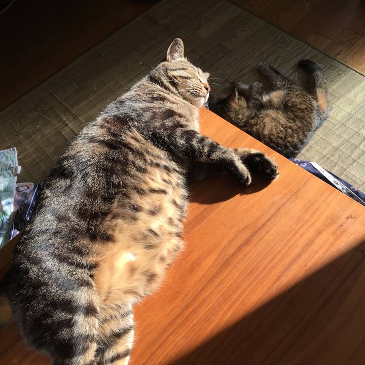 95e4a981 b1c8 454f 8ddb 454d41f9d701