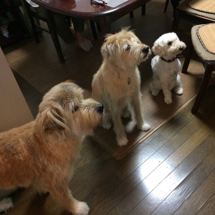 95e4ee4a e175 42a7 b3b7 1dbfc371272d