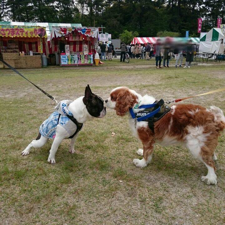 95e4fe07 f1d6 4fe0 a95f 64162db42d1f