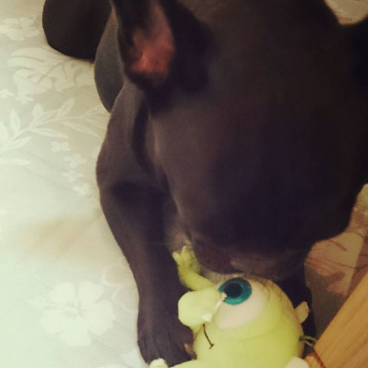 95e53c89 034b 4c28 b0f6 1d0ccc43e235