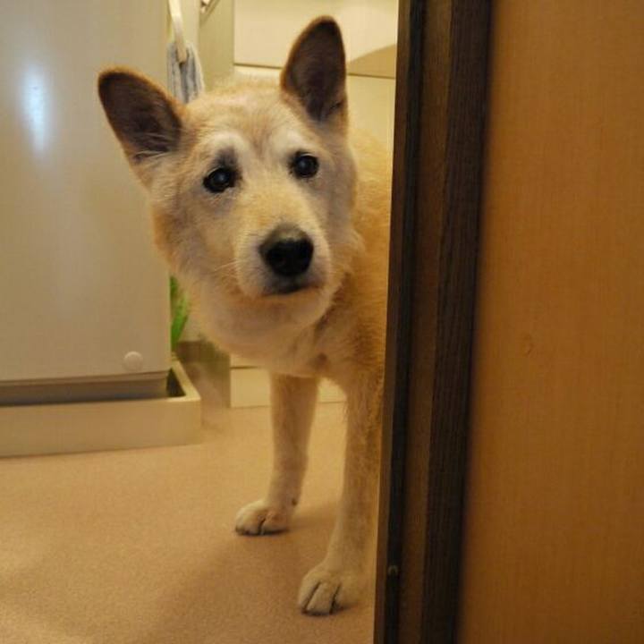 95e55311 888e 4d99 8c8c c9df80326541