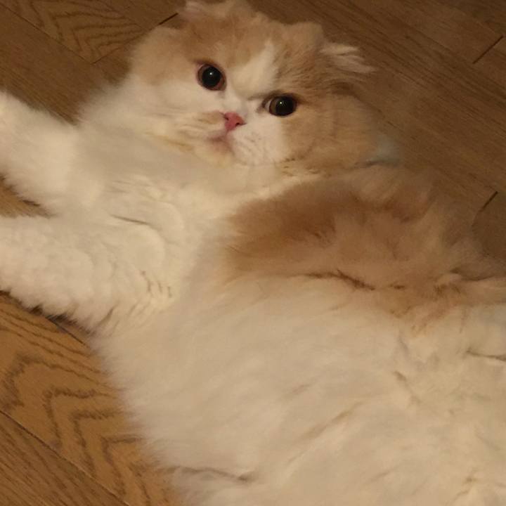 95e55468 2de6 4628 a914 9d14eb54c462