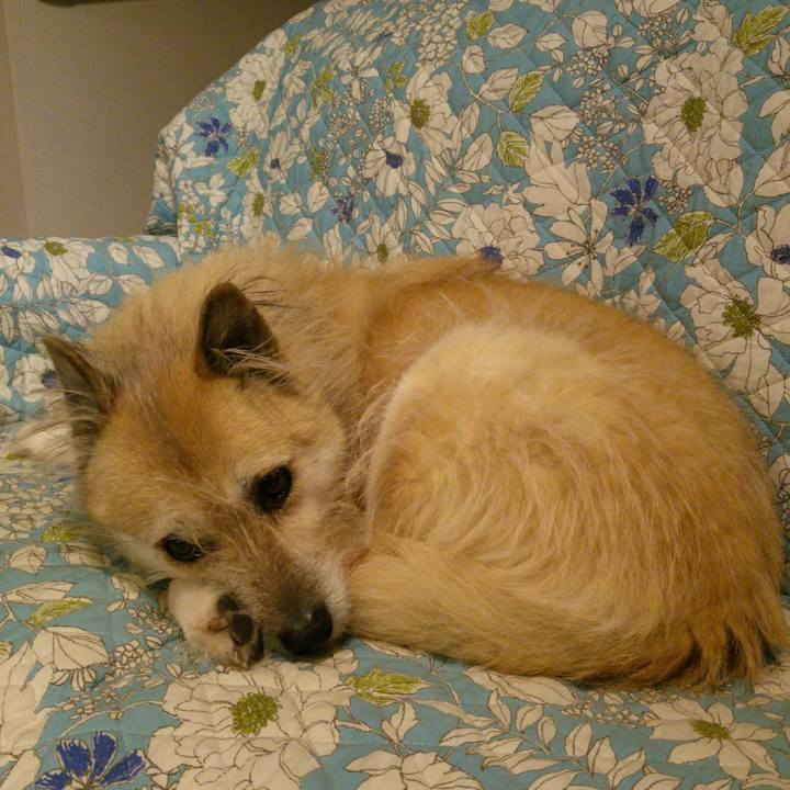 95e5b3f2 d2f5 454a 8cea 5c1df3f89c91