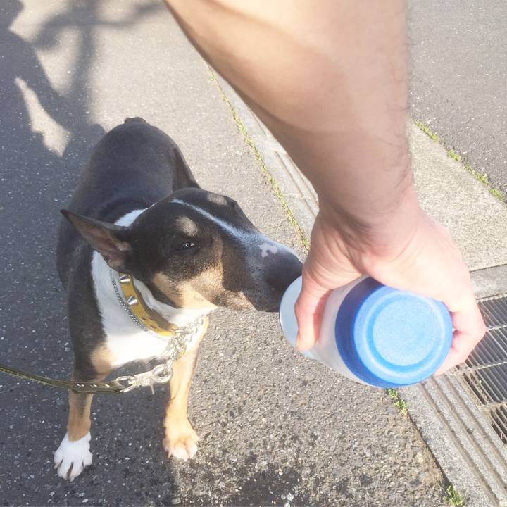 95e5f362 ae30 4f1e 9e53 fcc19f13ab08