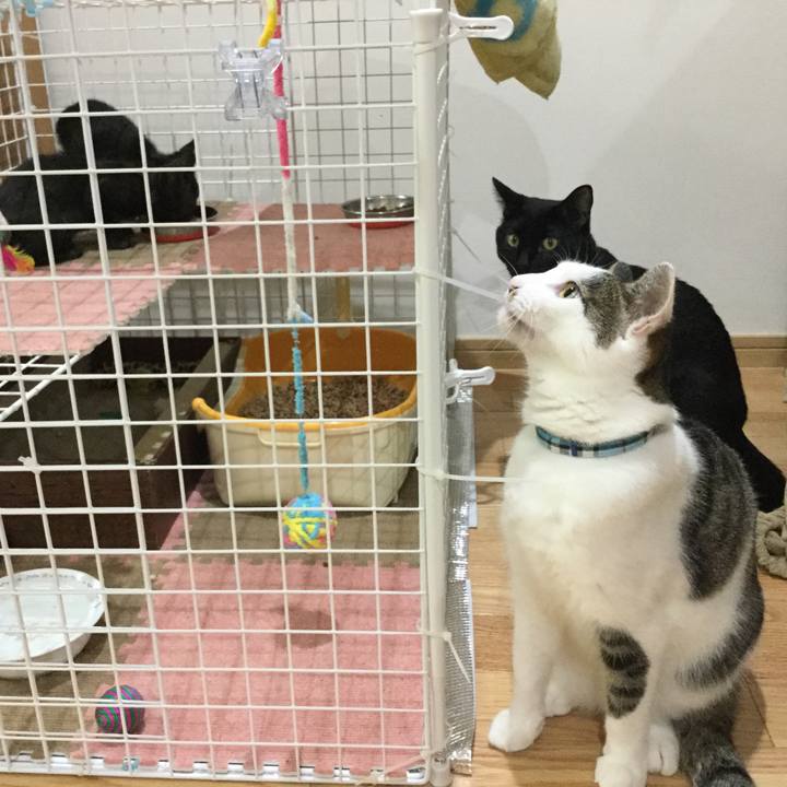 95e6493d 3b2b 421b 913e e817b9617ca0