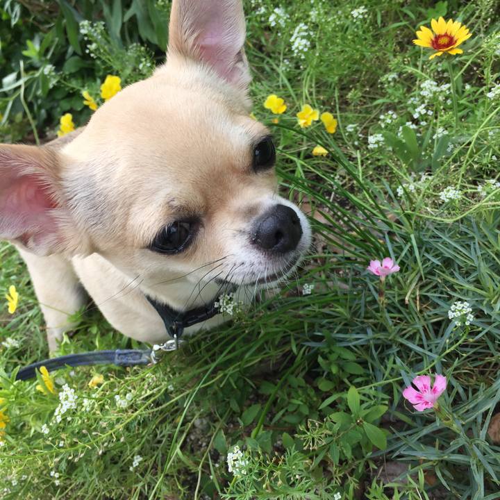 95e694ad 6361 4fb7 a94d d53ea6a1cd6b