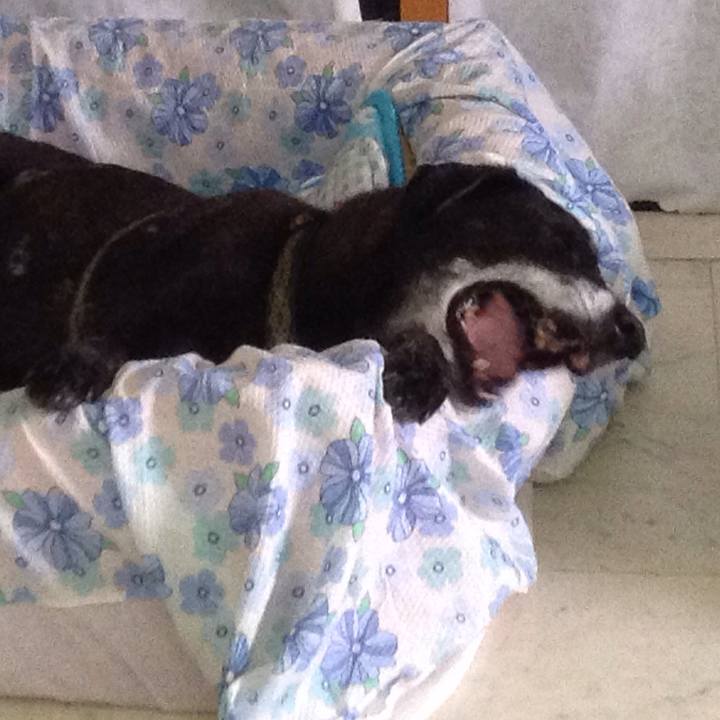 95e6a601 0f07 49db 9fef ea89849b6e81