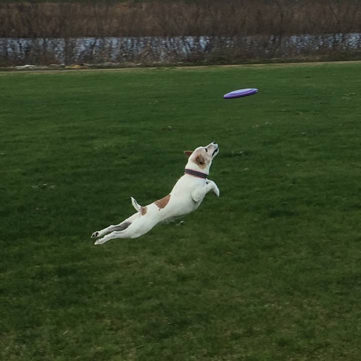 95e6a96a 4192 4521 9541 517eb0274264