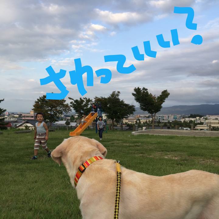 95e7237f c3d9 41ac b28f c6e96a2209e1