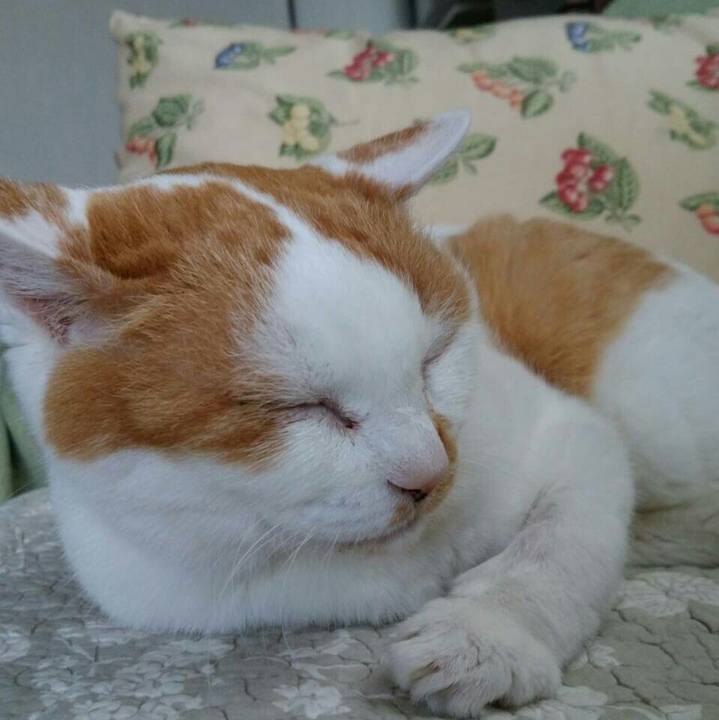 95e9ebed a3d6 4275 8293 f6486b87ec58