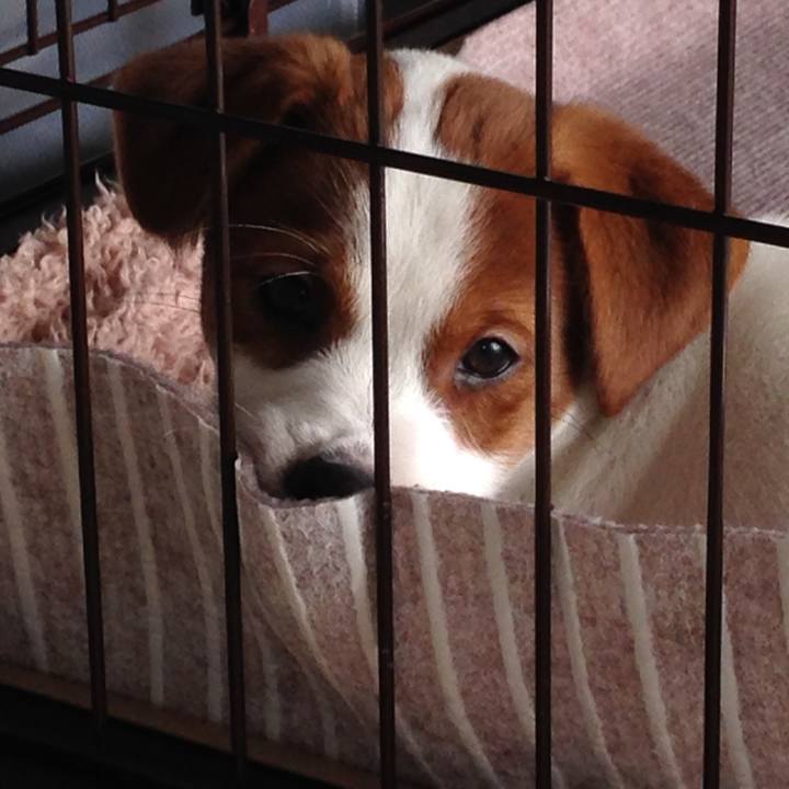 95ea6466 76e8 4b4d 86e7 91d45e3941ab