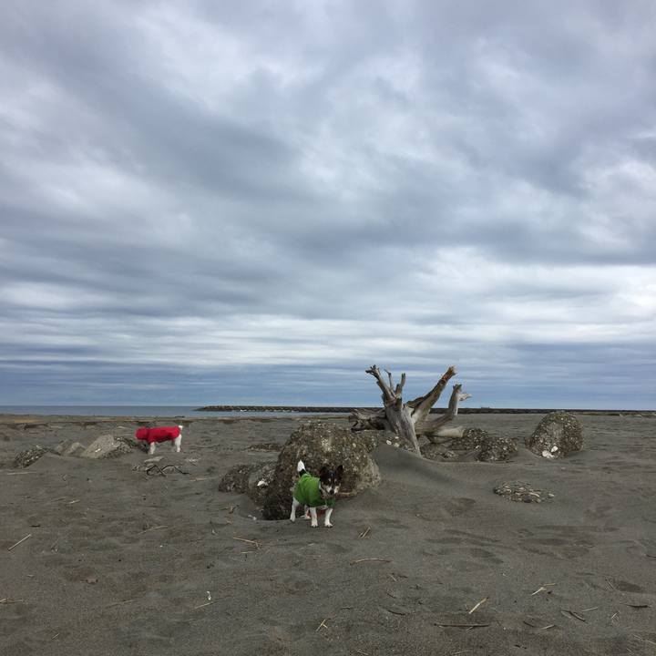 95ea786c 2a82 4ac5 8e6b b227f4948095