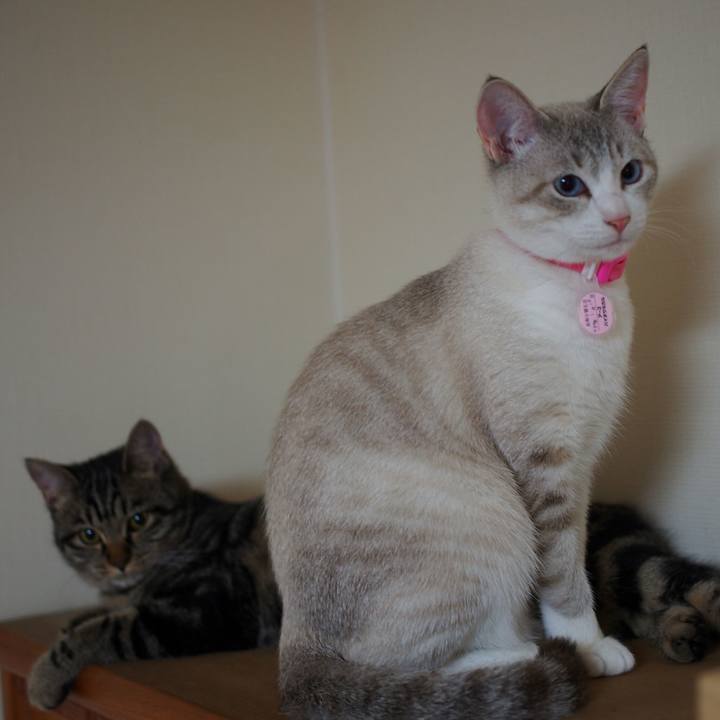 95ea8a2e c5b9 43ad 81c5 dcfaf3ed4a4f