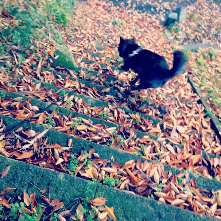 95eaae66 d1ca 4551 96ff 627978c64cfc