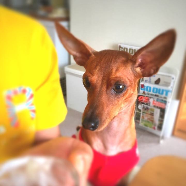 95eaf6b2 b249 4574 bb78 d1f78f7561a9