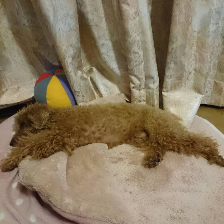 95eb3acf f0f5 444a ab95 4c31df126a99