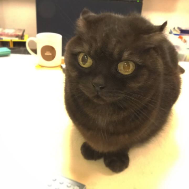 95eb5f77 7476 4630 b271 881cc71943ed