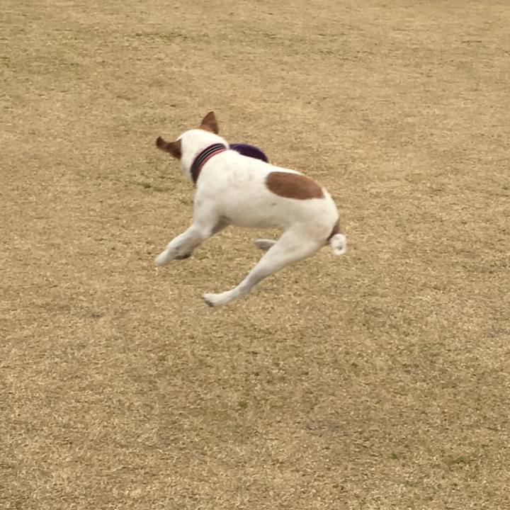 95eb63db cd61 4ac3 8a77 756b3783420d