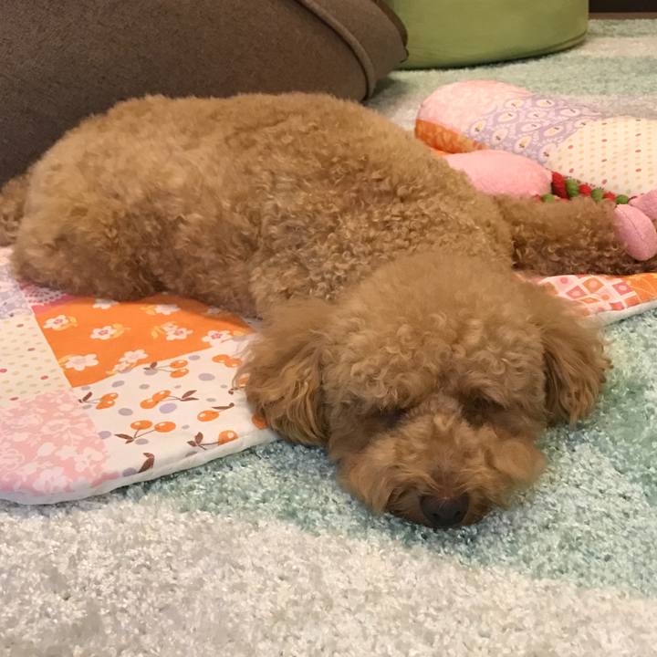 95eb67a9 32e7 4db0 9b39 dcb982b29b5a