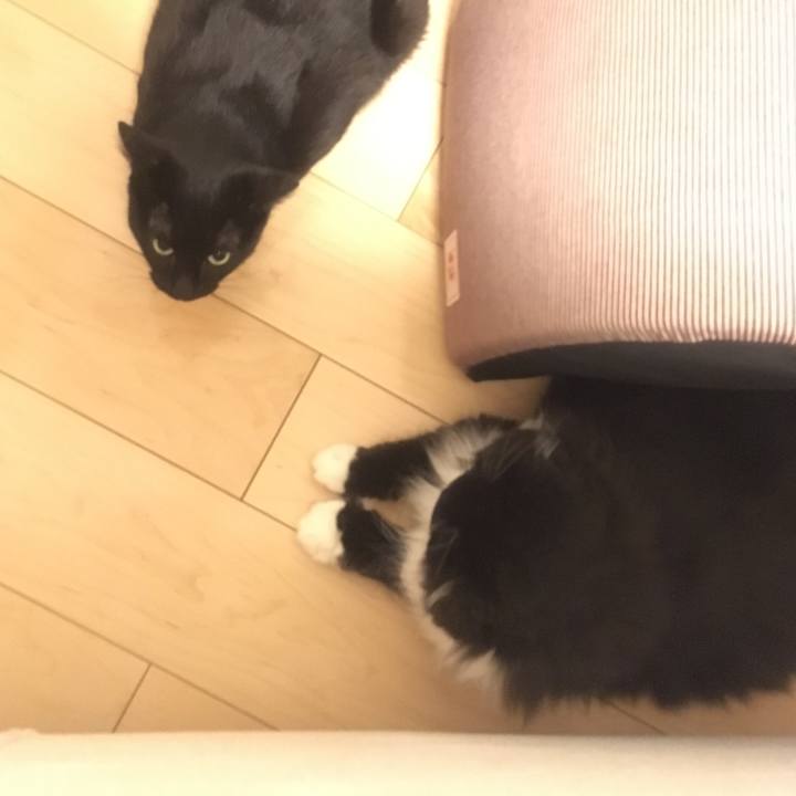 95eb979c 0c43 4be0 88fc 07f8c6b40db8