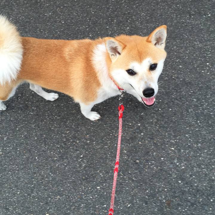 95ec747b 3842 4e47 b15b 66ee7df8ab2a