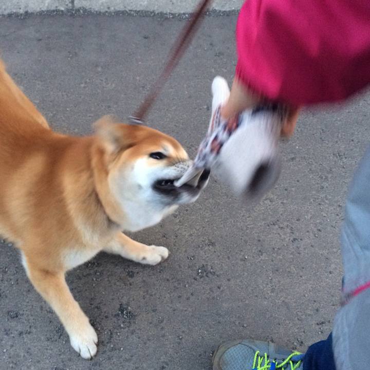 95ec7914 8ae8 4da6 a241 e7d6aa711544