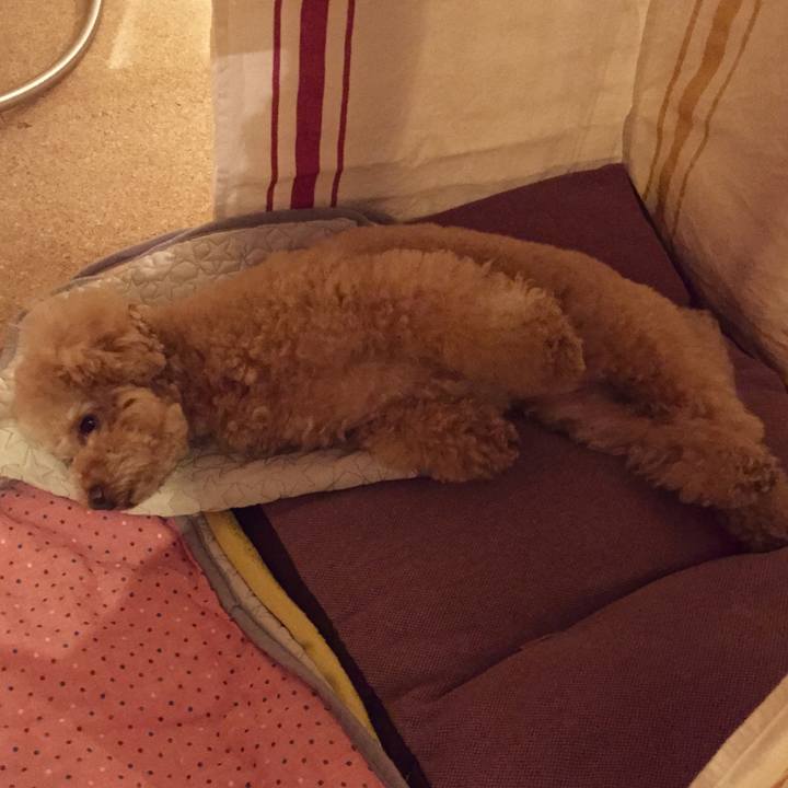 95ed2681 e46c 4c18 aea5 d13adae48f2c