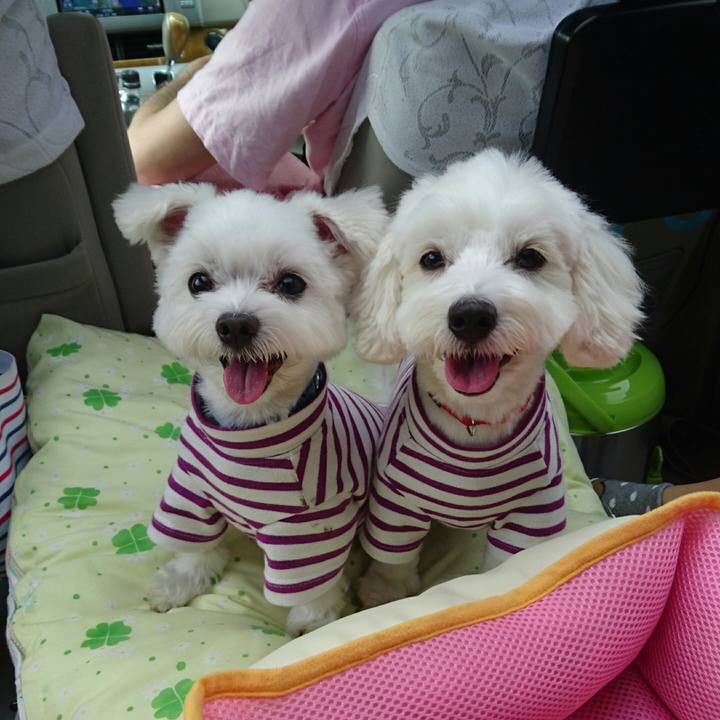 95eda5d3 da51 4e93 afc4 83f360a49ccd