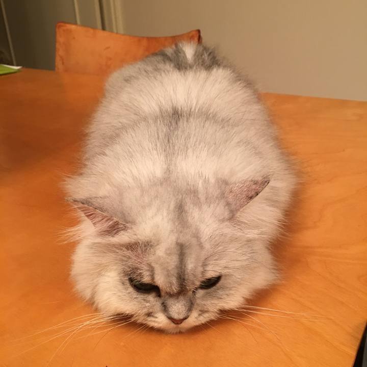 95eddce7 ffc6 496f a50a 9155928c898f