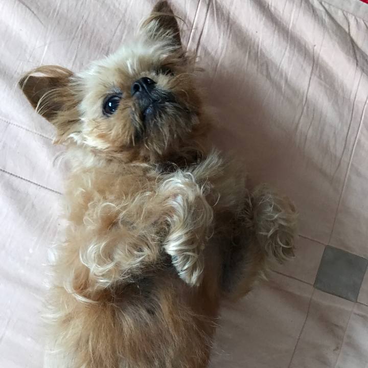 95ee0e03 4c29 4347 b676 c6ee5ff76222