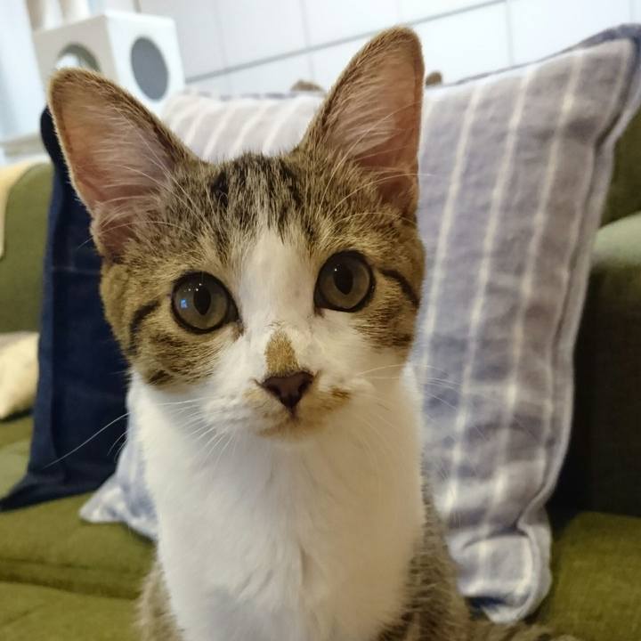 95ef14f9 acc1 400e bf63 09e93f8f9896