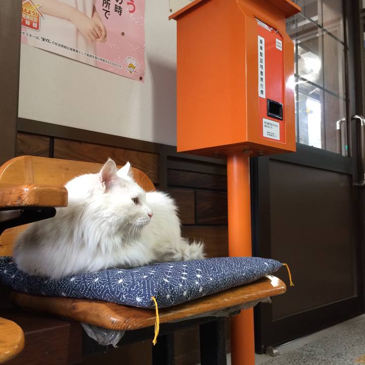 95ef360f 1e37 4514 b5e6 344b34424020