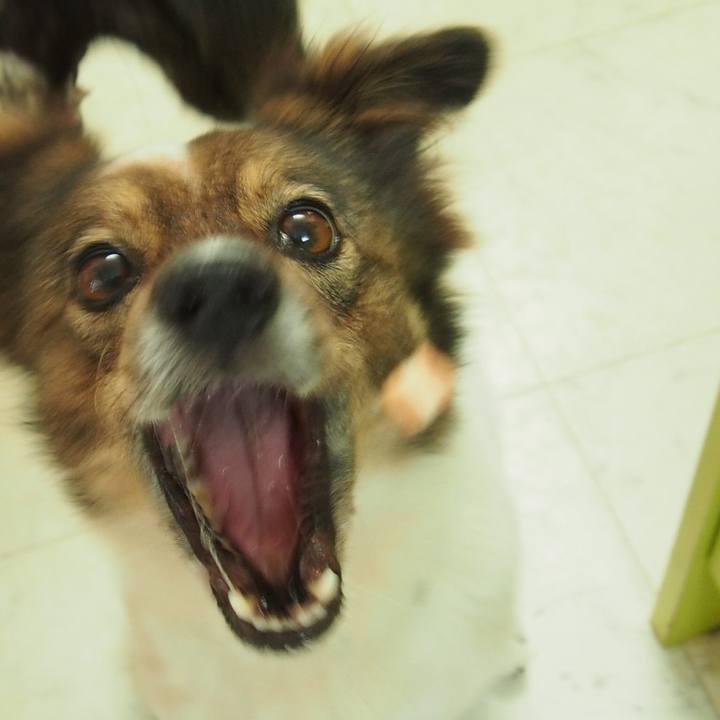 95ef5743 52c8 441f b25f 2187d6850230