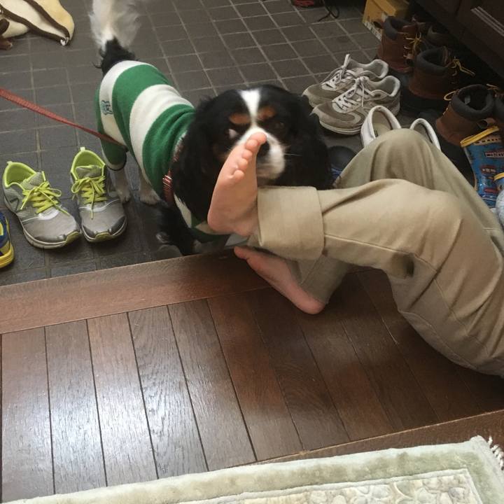 95efb840 606d 45c4 a25a c06c4d3781a0