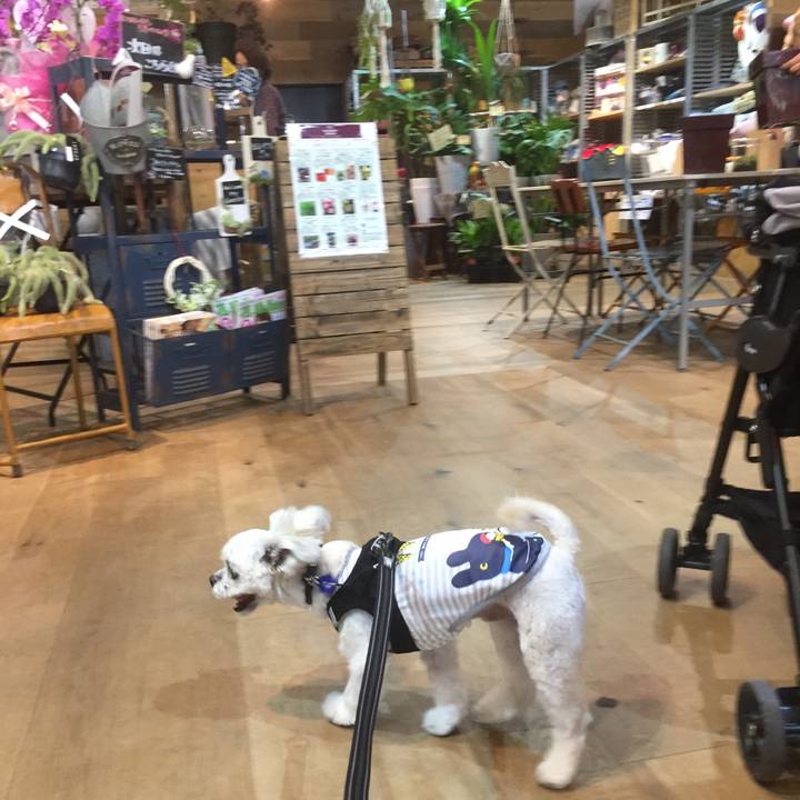 95f02599 d6ef 42e7 99a2 f6651ee4799d