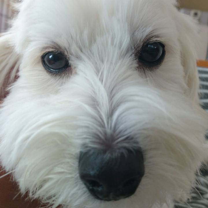 95f0510b d5c7 4d09 a57b 1adc05893b30