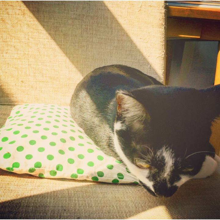 95f0700d 081f 4328 ab49 b59c0aa6f0fe