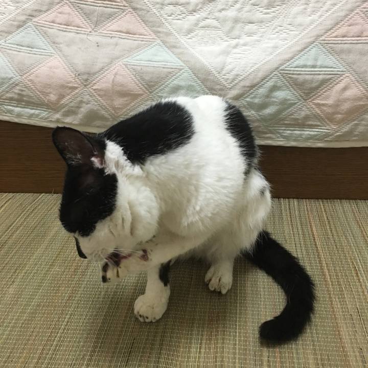 95f11023 7bd1 4c32 9b91 eb7ca061f552