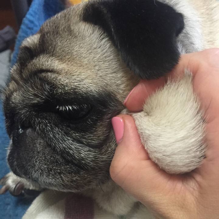 95f12403 5415 4b6e 9fd2 37df95cbdb26