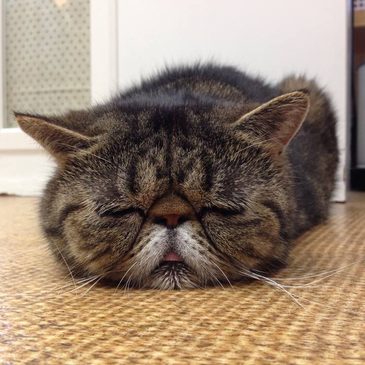 95f16eeb afe9 4578 998b c64c86c5d79f